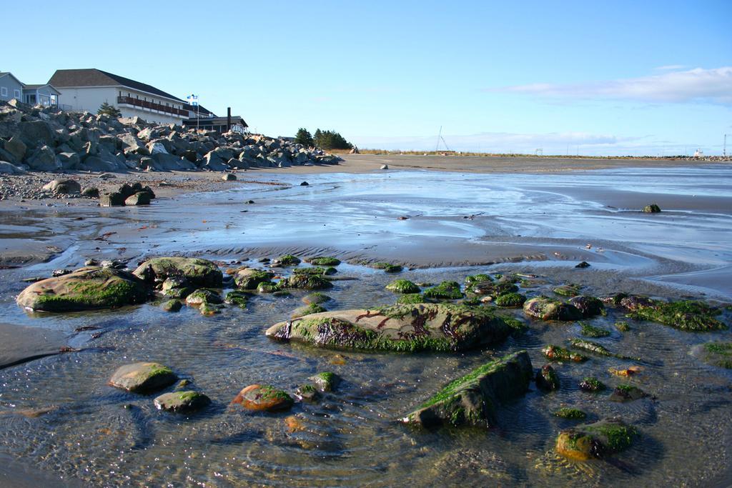 Hotel Motel Belle Plage Matane Exterior foto